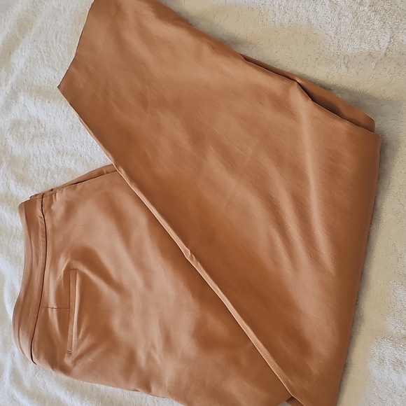 NEW JM Collection Plus Size Pull On Cambridge Pants Canyon Trail 1X - Picture 6 of 15